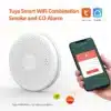 Smoke and Carbon Monoxide Detector Alarm,